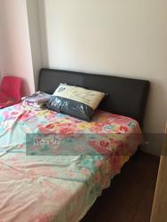 Sanctuary Green (D15), Condominium #142417432